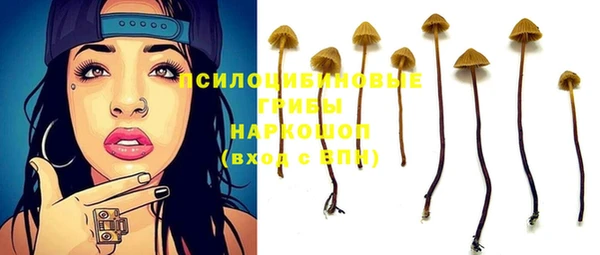 героин Покачи