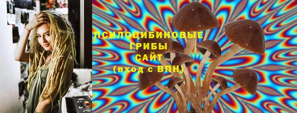 прущие грибы Абинск