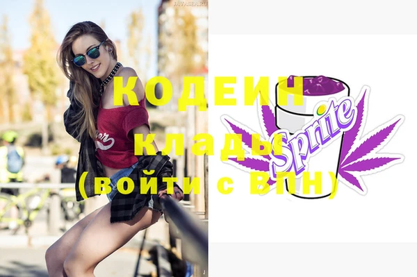прущие грибы Абинск