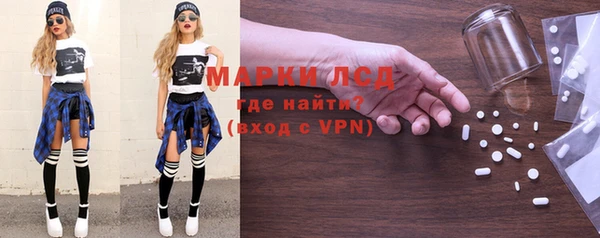 прущие грибы Абинск